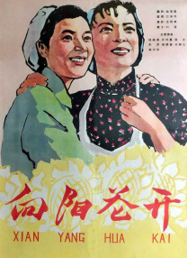疯狂的前女友